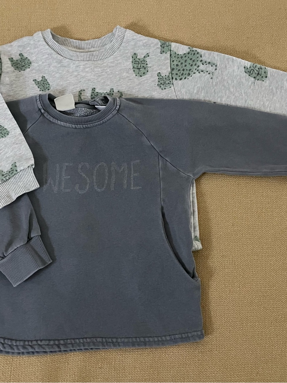 ZARA Kids 2 Sweatshirts